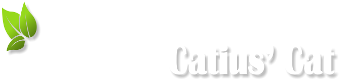 Catius’ Cat